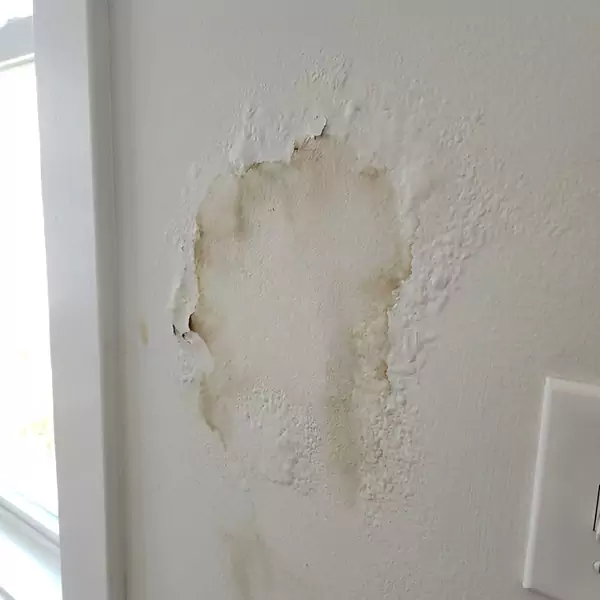 Expert Drywall Water Damage Repair in Caldwell, ID