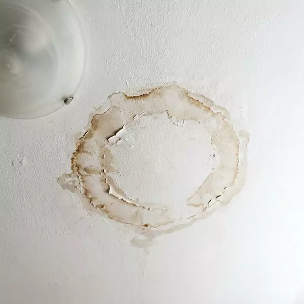 Leaking Ceiling Repair in Caldwell, ID 