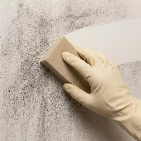 Smoke Cleaning in Caldwell, ID 