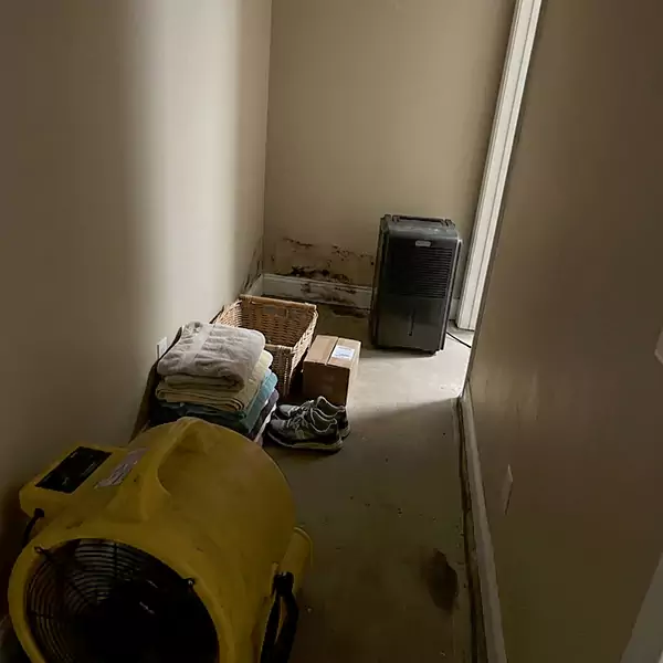 Expert Water Remediation in Caldwell, ID 