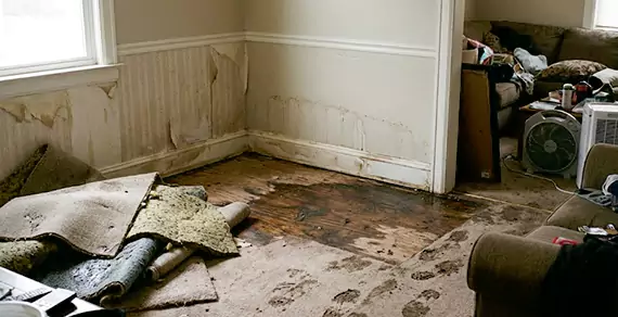 Why Choose Caldwell Water Restoration For Water Damage Restoration Services in Caldwell, ID?