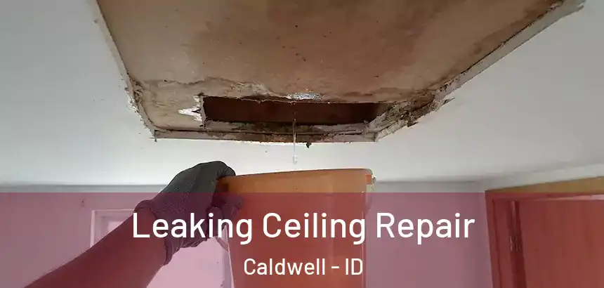  Leaking Ceiling Repair Caldwell - ID