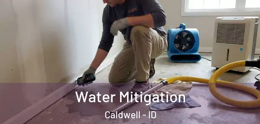  Water Mitigation Caldwell - ID